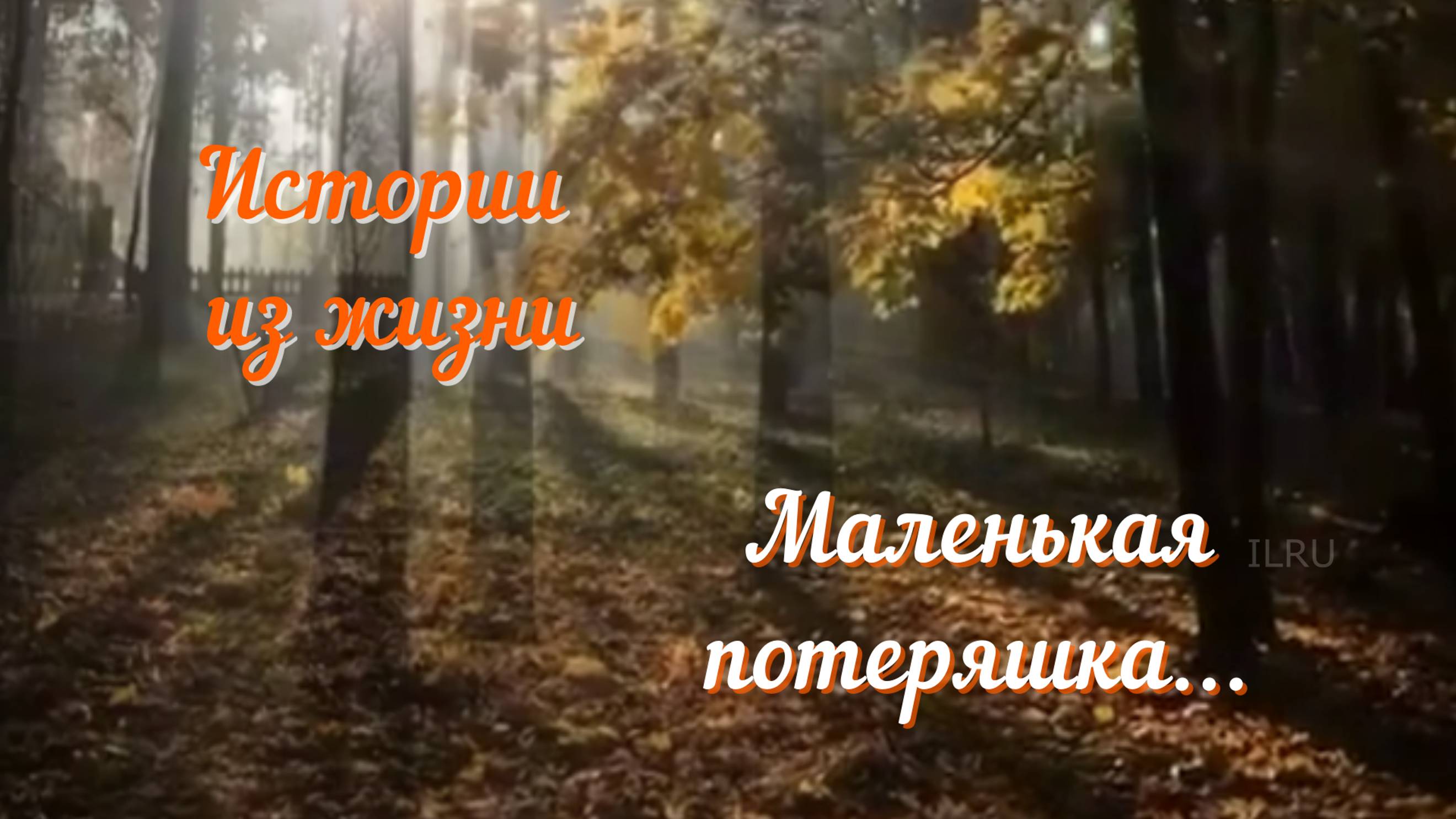 Рассказы - В поисках мамы,маленькая потеряшка...#Аудиорассказ #Душевныеистории #Трогательныеистори