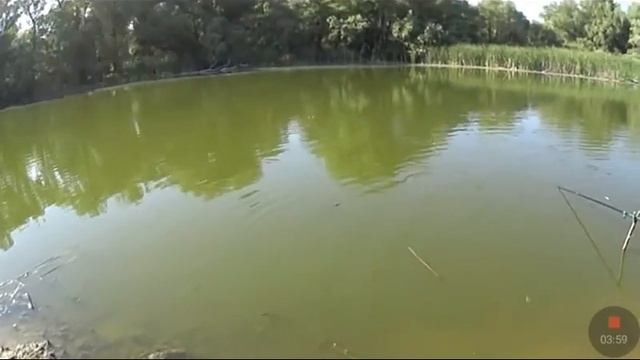 Караси большие караси клюют смотреть онлайн