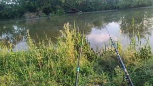 Маховое удилище Princess. Средней жоскости. Топ за свои деньги.