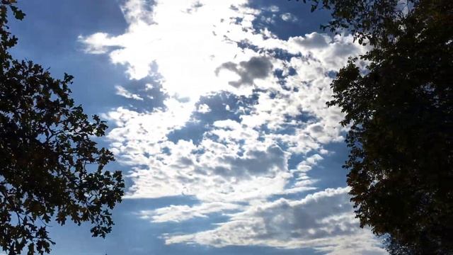 My Original 4K Video taken With my iPhone SE 16GB смотреть онлайн