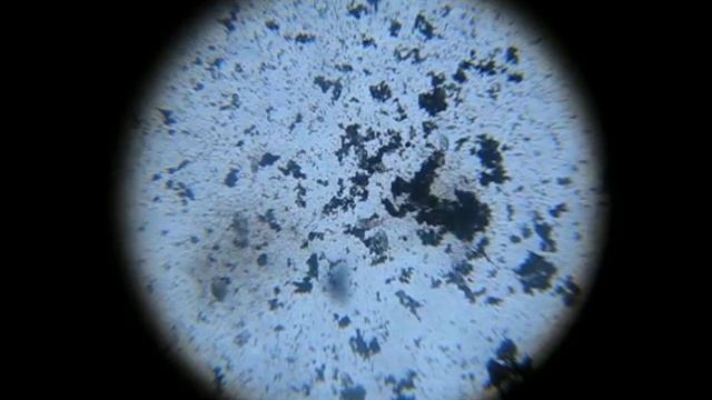 капля воды из лужи возле дома.AVI