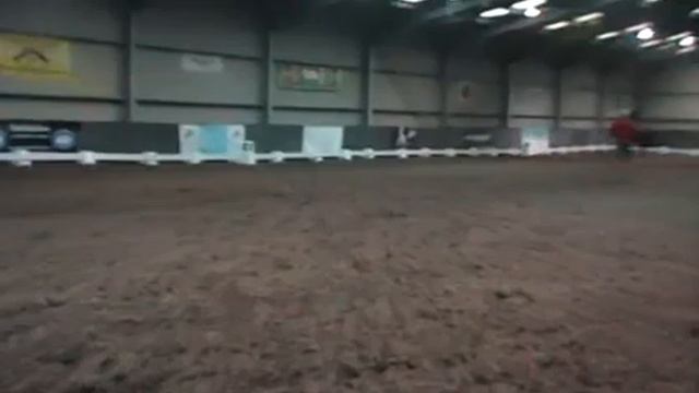 Jac & Rocky/extended trot/Anna lesson смотреть онлайн
