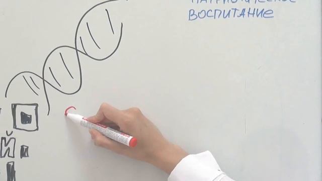 ДНК смотреть онлайн