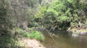 Добыча золота драга Австралия