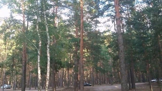 Красивые виды по дороге в Курган #6 смотреть онлайн