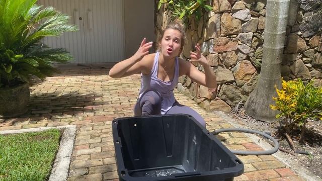 BABY MACAWS GET THEIR FIRST BATH! смотреть онлайн