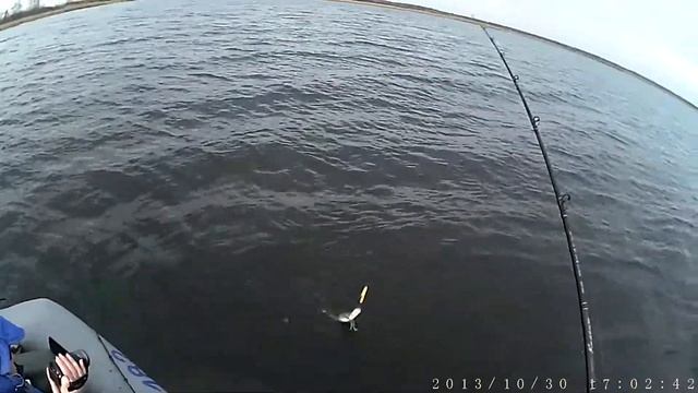 Pike Fishing. Belarus. Palik Lake. Baby Buster. Pike 9 C@R. POV. 30/10/2013