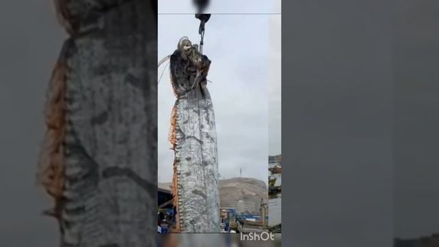 😰Рыба-чудище смотреть онлайн