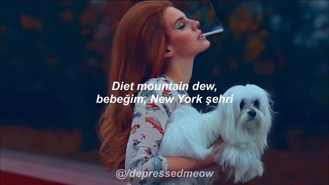 Lana Del Rey - Diet Mountain Dew | Türkçe Çeviri смотреть онлайн