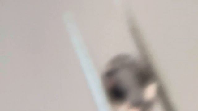 Обзор недорогой природной Шпинель из Бирмы смотреть онлайн