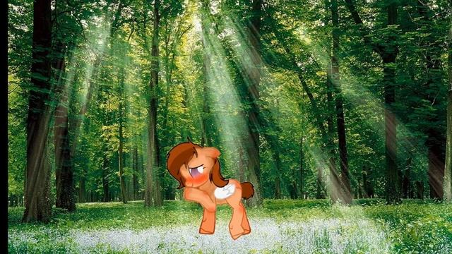 Пони клип (Казанова) смотреть онлайн