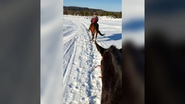 возвращаюсь из похода