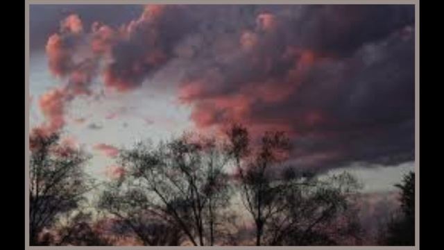 [FREE] *GUITAR* Lil Peep x Trippie Redd Type Beat | "apple" | (Rap/Trap Instrumental) смотреть онлайн