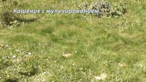 Газонокосилки DDE Серия5 Кошение с мульчированием