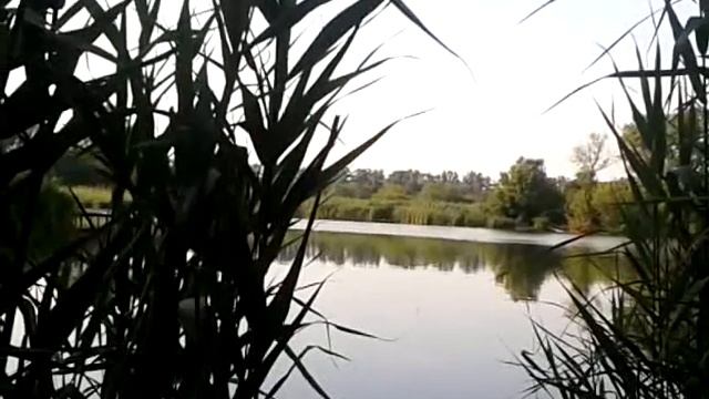 Донецкая обл. Покровский р-н п Опытное. Рыбалка на втором ставке 2014 07 26 07 32 48 смотреть онлайн