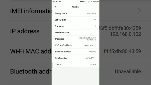 Know about your IP and Mac address смотреть онлайн