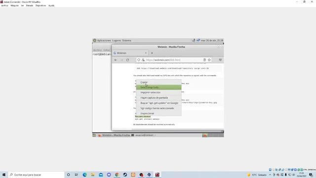 SERVIDOR DNS - Webmin en Debian смотреть онлайн