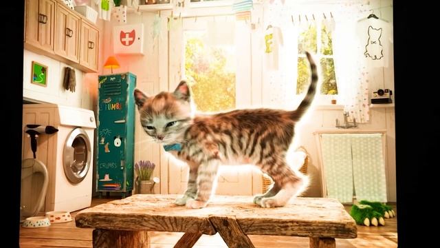 MY HAPPY LITTLE KITTEN ADVENTURE - NEW CAT AND PET CARE - LONG CARTOON SPECIAL MEOW смотреть онлайн