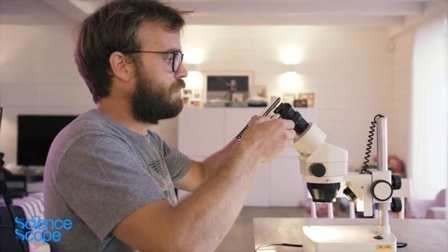 How to set up your ScienceScope Adapter смотреть онлайн