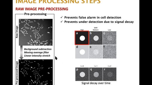 Dr. Brian Jun: Microfluidic Velocimetry for Investigating Molecular Transport and Cell Migration смотреть онлайн