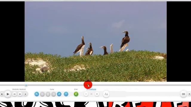 Como Usar Freemake Video Converter Parte 2 смотреть онлайн