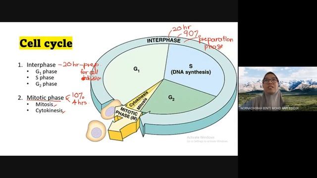 The Preparation: Interphase