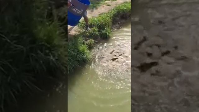 Линь! 600кг смотреть онлайн
