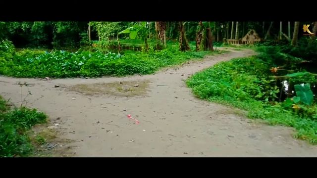 Cinematic Nature Videography || in Oppo A12 смотреть онлайн