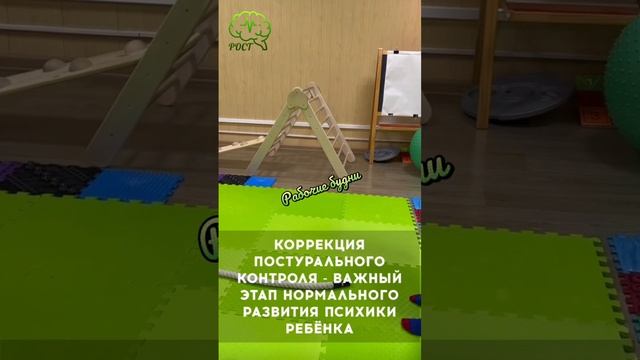Рабочие будни Студии детской нейропсихологии РОСТ