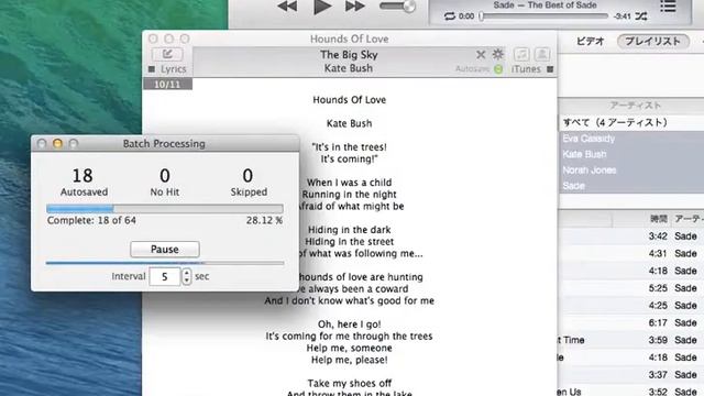 gehitu lyrics automatikoki (iTunes/Mac OS X) смотреть онлайн