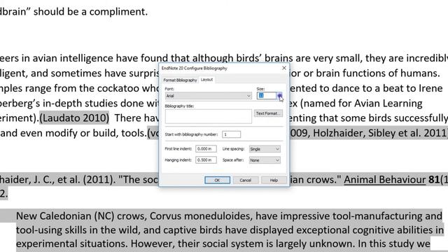 In action: EndNote 20 (Windows) Configure Bibliography смотреть онлайн