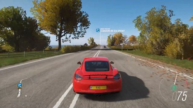 2015 PORSCHE CAYMAN GTS - Forza Horizon 4 | Logitech Driving Force GT смотреть онлайн