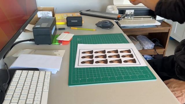How to Make Professional-Looking Stickers with Your Cricut for Etsy смотреть онлайн