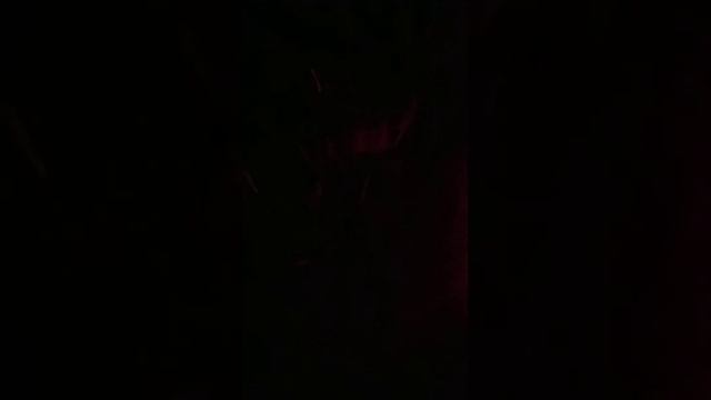 Собираем выползков смотреть онлайн