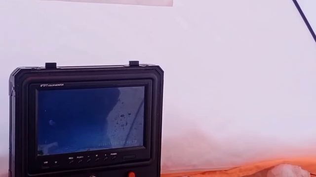 рыба обманула всех смотреть онлайн