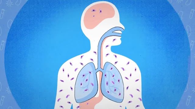 Почему микобактерия туберкулза размножается в организме?