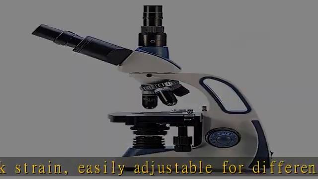 Swift SW380T 40X-2500X Magnification, Siedentopf Head, Research-Grade Trinocular Microscope Compoun смотреть онлайн