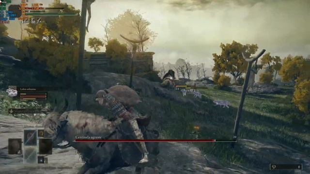 Elden Ring Bastardo leonino * Centinela agreste * Avatar arbol aureo * Heroe de Zamor Samurai lv 31 смотреть онлайн