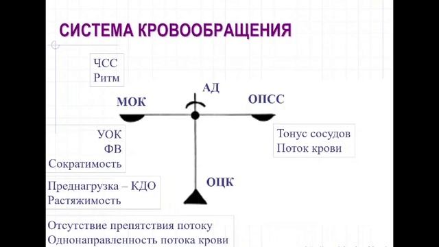 Острая недостаточность кровообращения смотреть онлайн