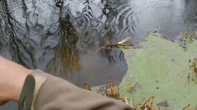 Две щуки с одного места смотреть онлайн