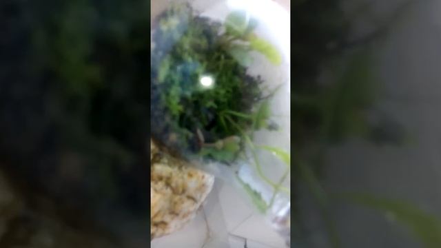 Обычные вещи НЕобычным взглядом|ч.1 смотреть онлайн