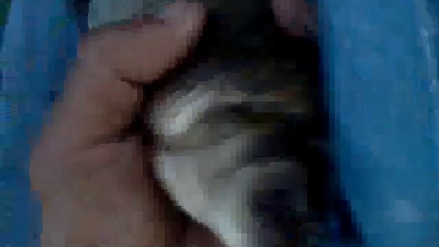 MOV20120801 009 смотреть онлайн