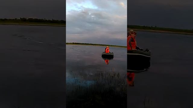 Просто куча мошки! смотреть онлайн