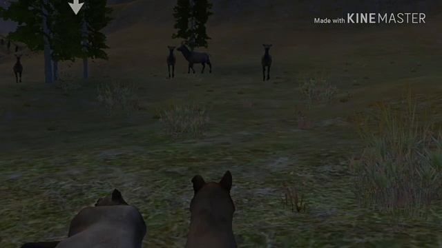 Жизнь одиночки clip[ Wolf Quest] by Olivka смотреть онлайн
