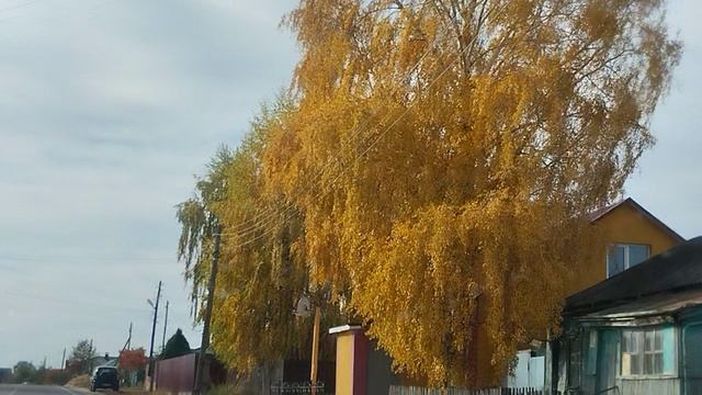 Воронежская область смотреть онлайн