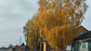 Воронежская область