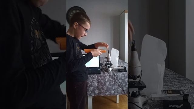 Preparaty pod mikroskop Levenhuk N38 NG. смотреть онлайн