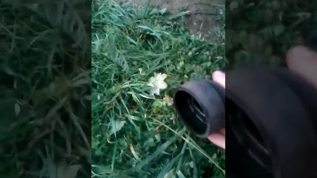 Ауди 80 спорт смотреть онлайн