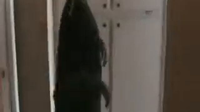 idiot brakes window смотреть онлайн