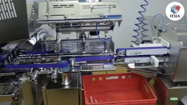 FÉSIA - LIGNE DE SAUCISSERIE VEMAG CC215